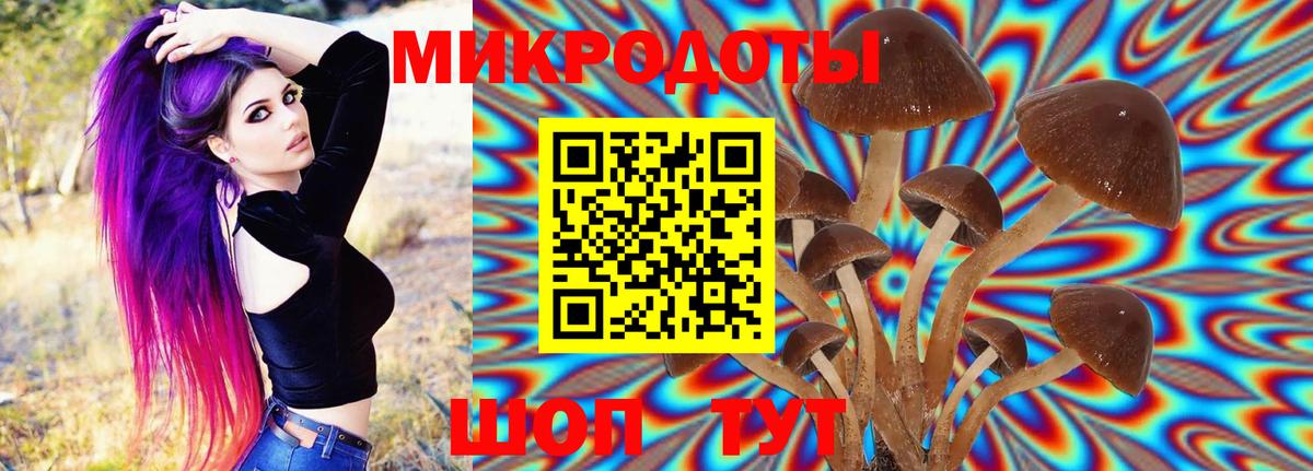 Сертолово  Галлюциногенные грибы мицелий  Галлюциногенные грибы ЛСД  Вход с VPN 